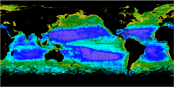 Optical Oceanography